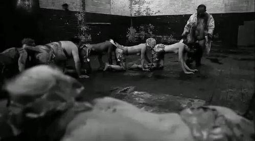 人体蜈蚣在线观看完整,惊悚悬疑,揭秘人体极限的恐怖实验 第2张 人体蜈蚣在线观看完整,惊悚悬疑,揭秘人体极限的恐怖实验 第2张