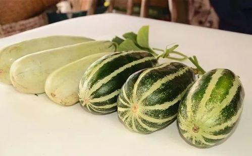 陇南网红吃瓜内容,揭秘当地美食背后的故事 第3张 陇南网红吃瓜内容,揭秘当地美食背后的故事 第3张