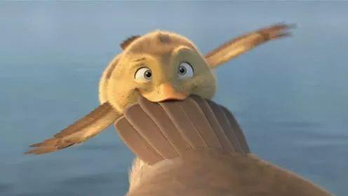 大龙猫爆料蝌蚪视频在线观看,蝌蚪视频在线观看全攻略