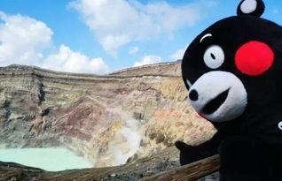 大龙猫爆料蝌蚪视频在线观看,蝌蚪视频在线观看全攻略 第2张 大龙猫爆料蝌蚪视频在线观看,蝌蚪视频在线观看全攻略 第2张