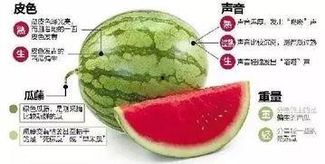 微信群吃网红的瓜 第3张 微信群吃网红的瓜 第3张