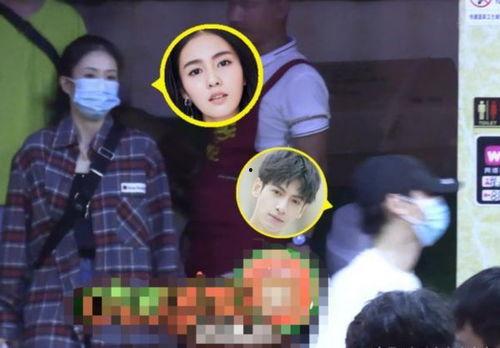 白鹿家世爆料视频在线观看,独家视频爆料深度解析