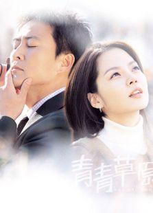 青青草频在线观看,探寻青春记忆的绿色篇章